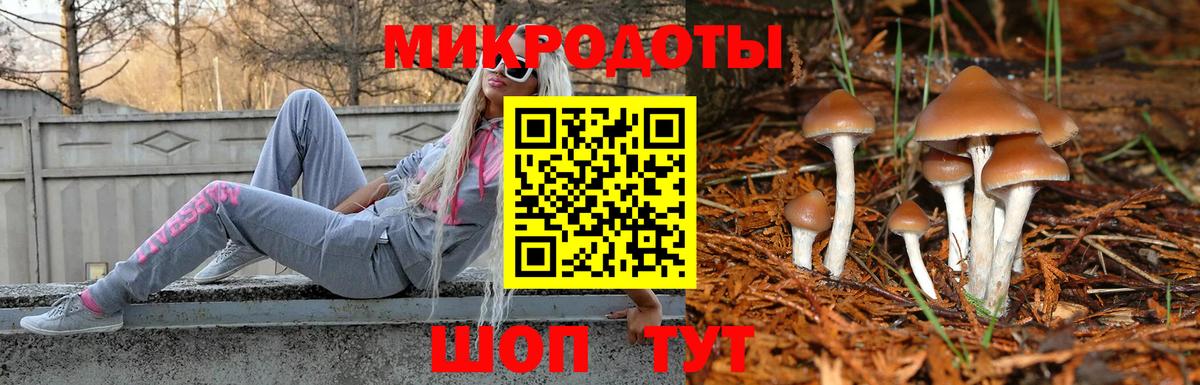 Галлюциногенные грибы Psilocybine cubensis Заволжье